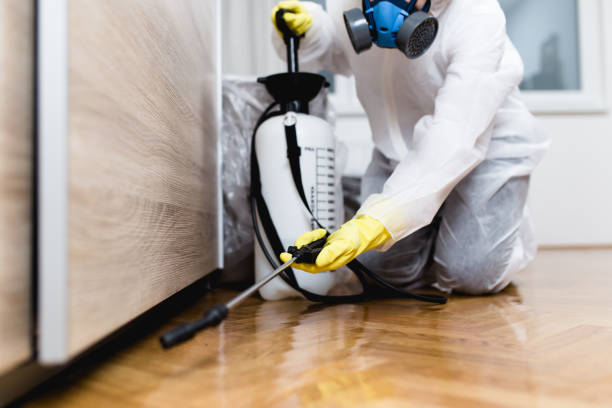 Best Best Pest Control Companies  in Rainbow, CA