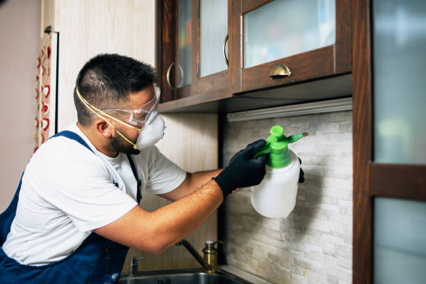 Best Pest Removal Services  in Rainbow, CA