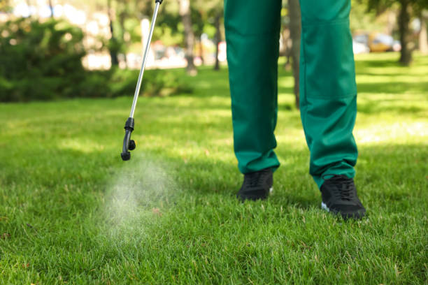Best Pest Inspection Near Me  in Rainbow, CA