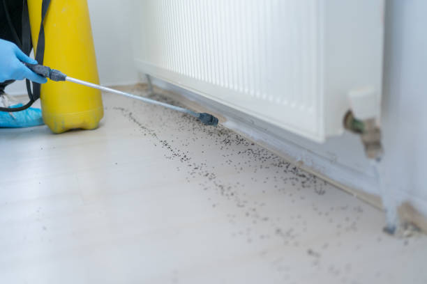 Best Wildlife Control Services  in Rainbow, CA